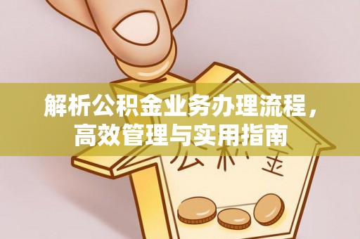 集集解析公积金业务办理流程，高效管理与实用指南