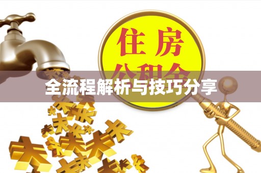 集集全流程解析与技巧分享